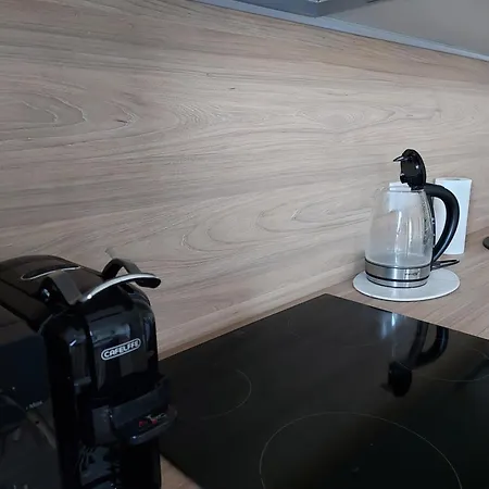 1 Kambario Jaukus Butas Ramioje Vietoje דירה פלאנגה